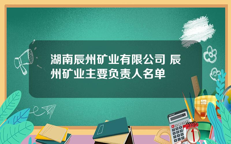 湖南辰州矿业有限公司 辰州矿业主要负责人名单